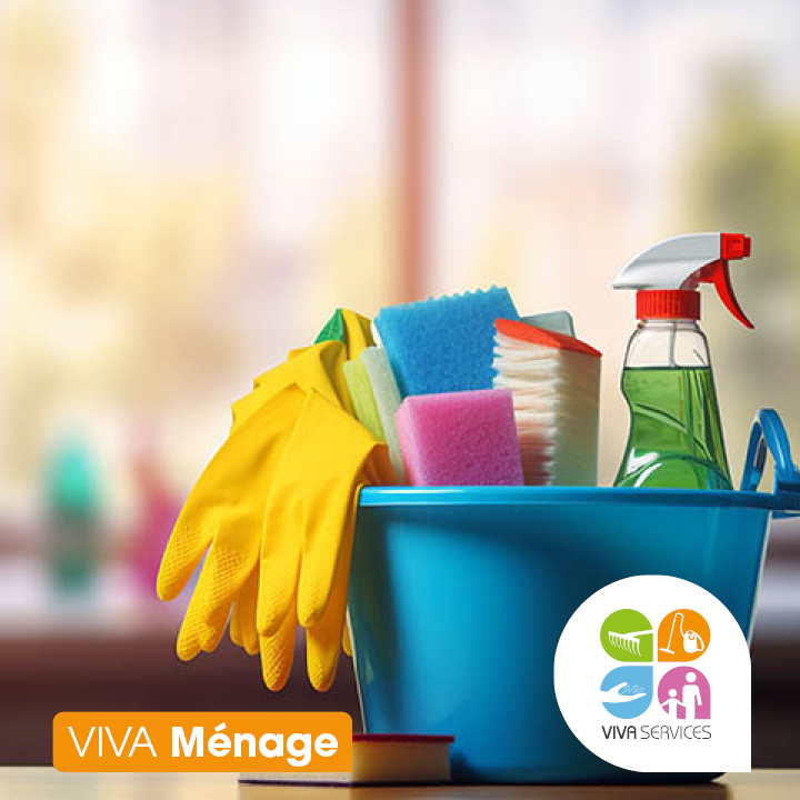 image 1 de l'annonce Ménage à Villeneuve-sur-Yonne (89500) par Vivaservices Villeneuve-sur-Yonne