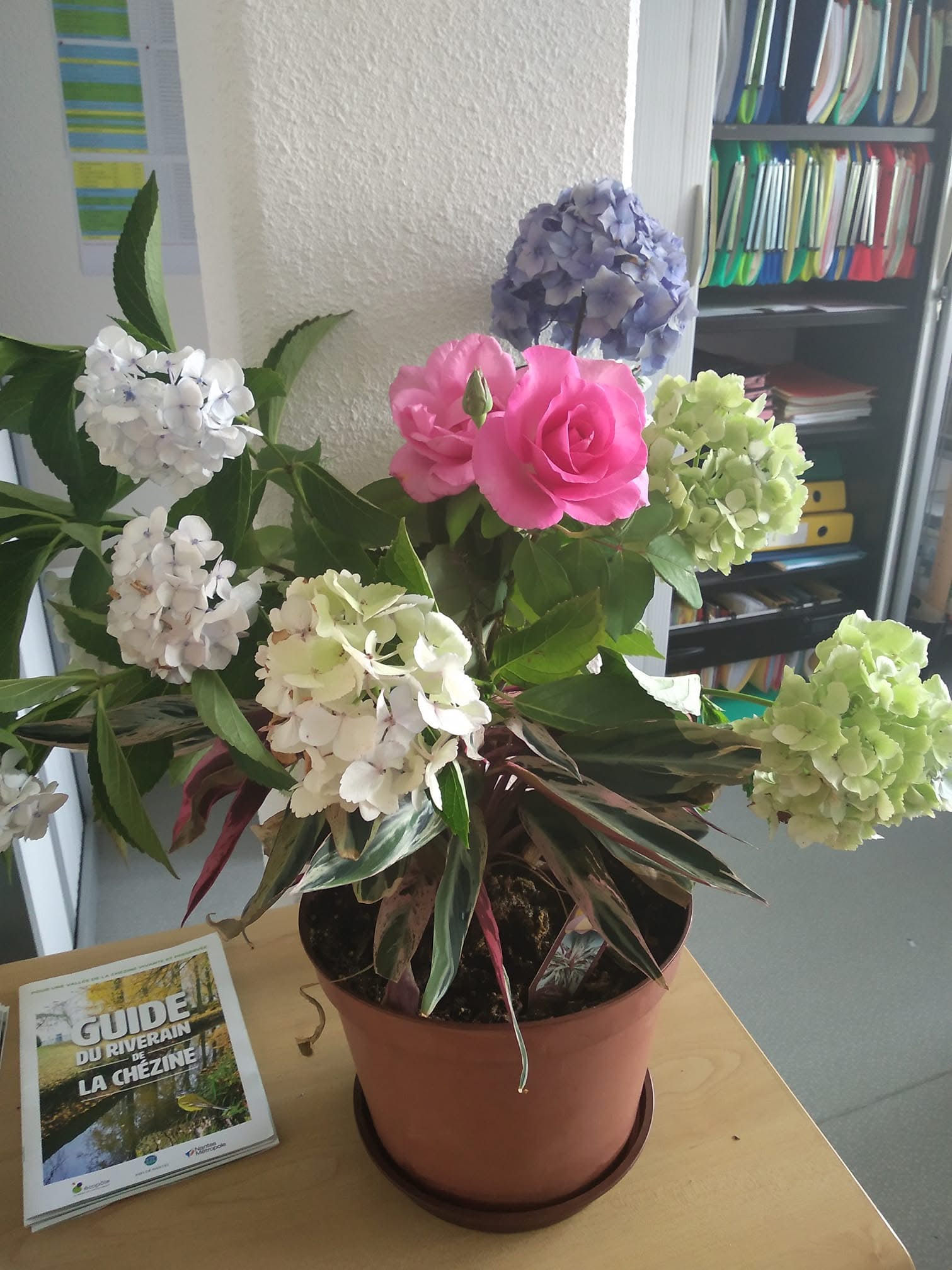 illustration Décoration florale / confection bouquets du jardin