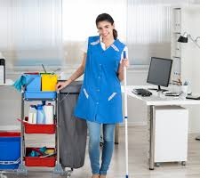 illustration Agent d'entretien