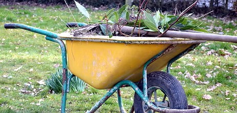 image 3 de l'annonce Jardinage à Cavaillon (84300) par Monsieur Paran