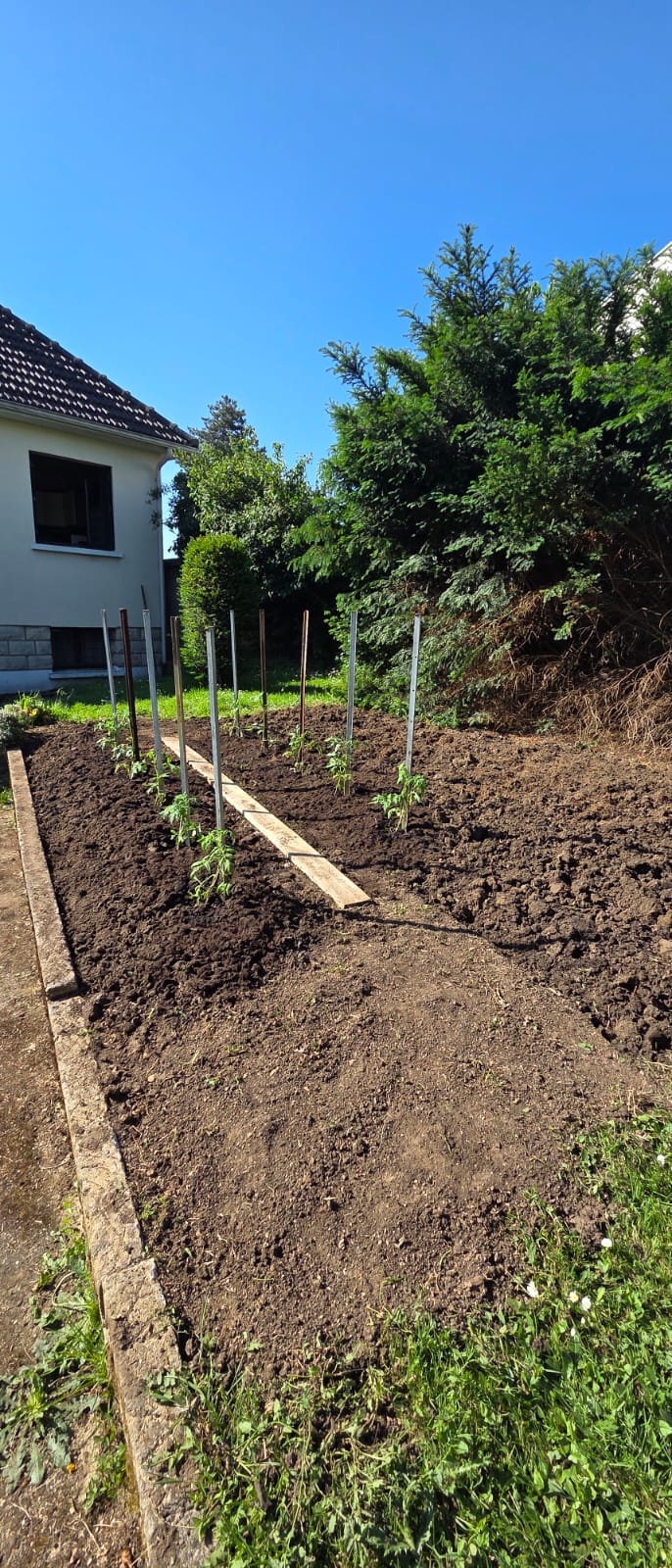 image 2 de l'annonce Jardinage à Les Pavillons-sous-Bois (93320) par Domicile Clean Les Pavillons sous Bois