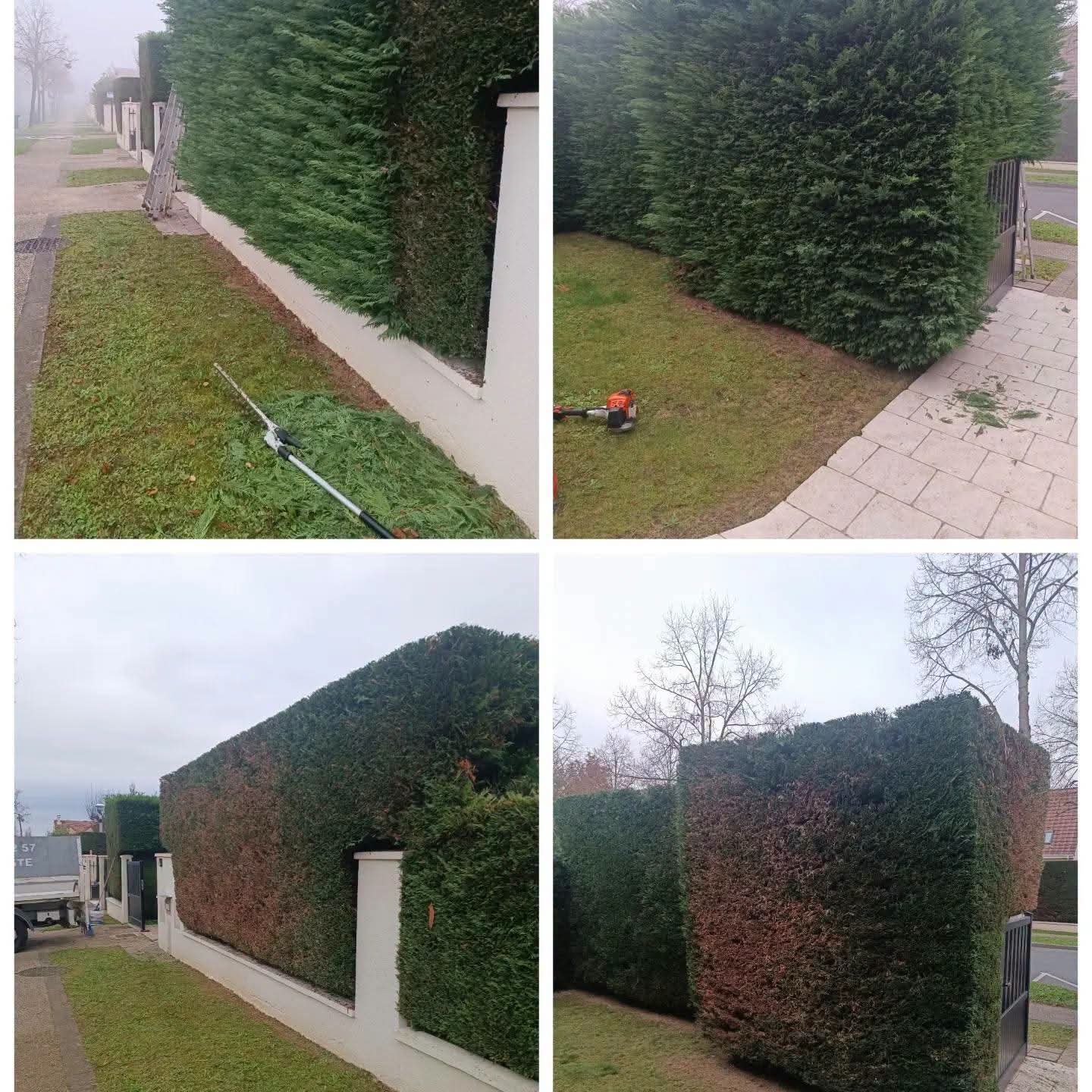 image 3 de l'annonce Jardinage à Mont-Saint-Aignan (76130) par Tout à Dom Services Mont-Saint-Aignan