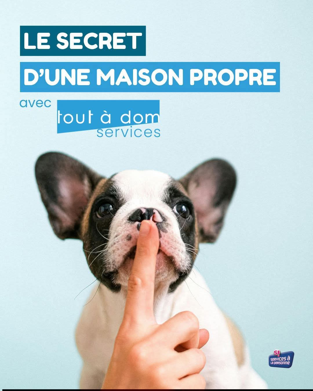 image 2 de l'annonce Ménage à Mont-Saint-Aignan (76130) par Tout à Dom Services Mont-Saint-Aignan