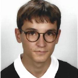 Cours de maths/physique et chimie à Tours