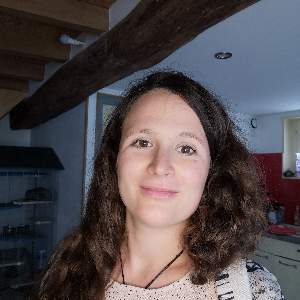 Aide ménagère, aide au repas, course