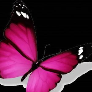 Aide, courses, ménage, compagnie