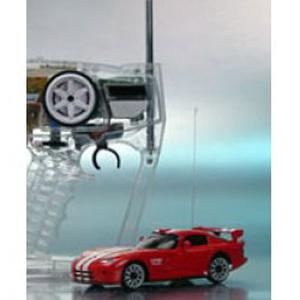 Animation-initiation de voitures radiocommandées  pro électriques sur Toulouse