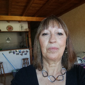 auxiliaire de vie aupres de personnes agees, personnes handicapees et enfants