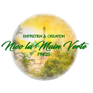 Photo de Nico la Main Verte