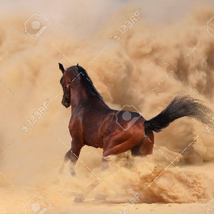 Auxiliaire de vie diplômée et expérimentée sur Saverne