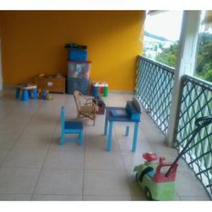 Photo de les petits papillons de tatamimi