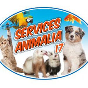 Photo de services animalia 17