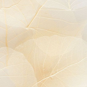 Aide aux personnes agées Pont-à-Mousson & alentours