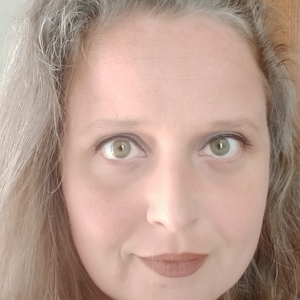 Ménage, repassage à Salon de Provence (13)