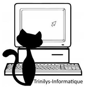 Trinilys-informatique