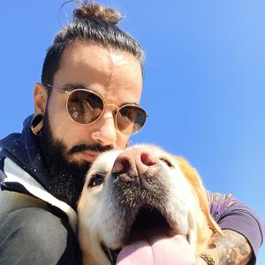 ADNCO Petsitter Pro Oise