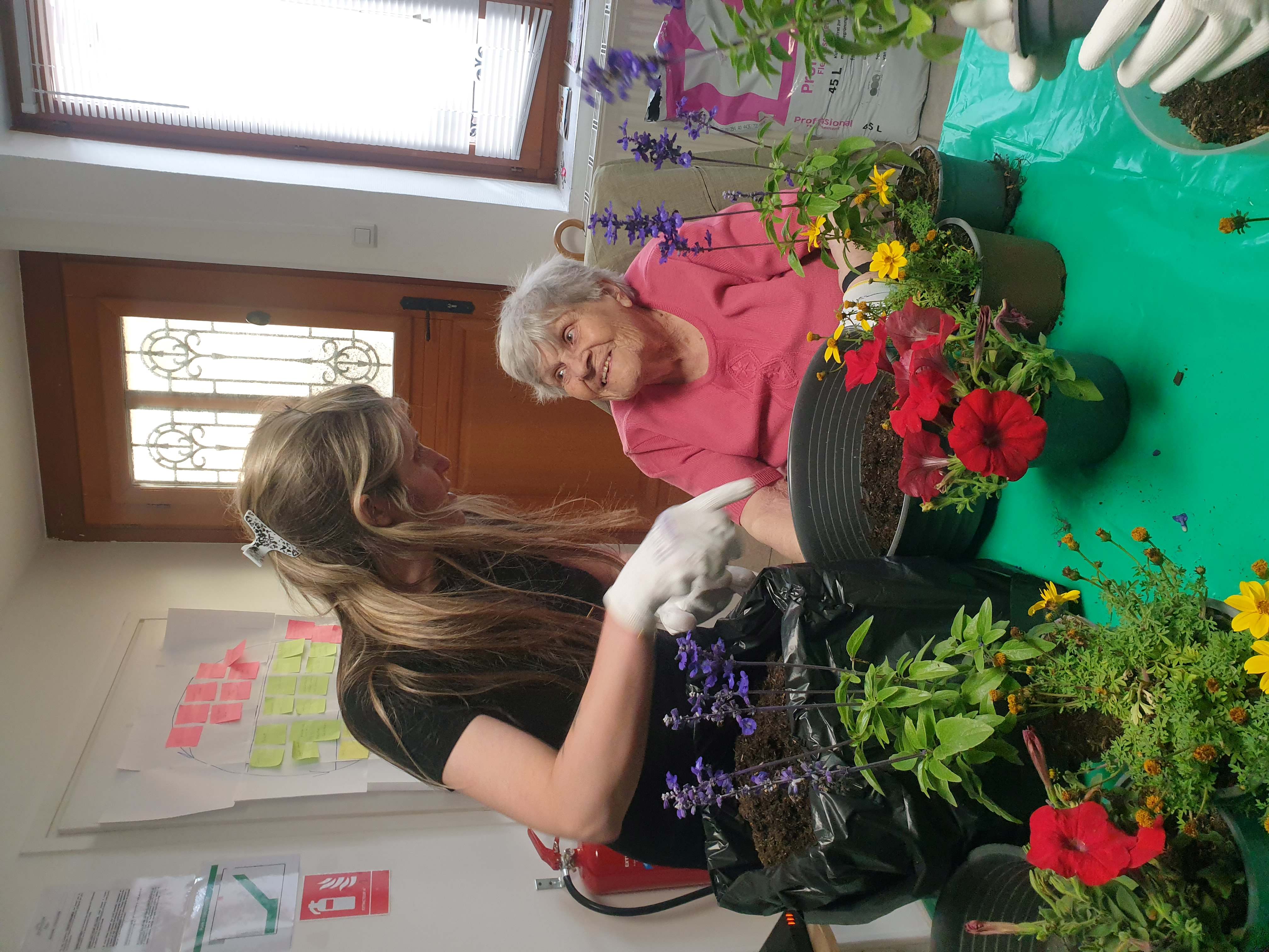 Atelier "coupe de plantes"