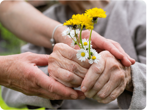 image 2 de PVE Saint-Cloud