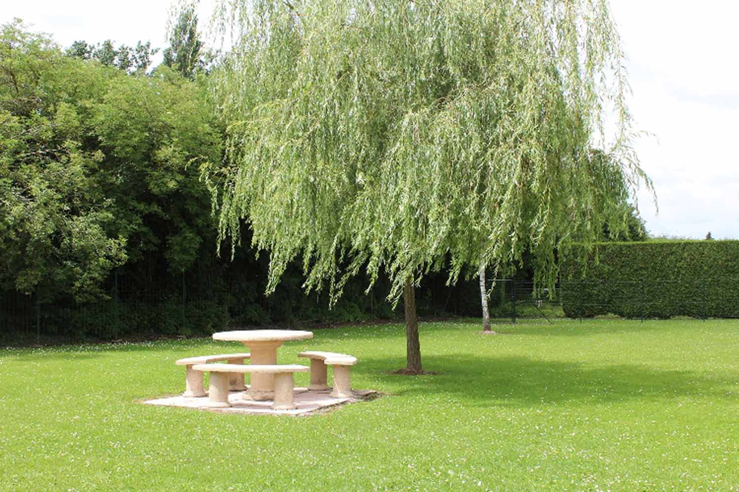 image 6 de EHPAD Résidence Les Lys du Hainaut