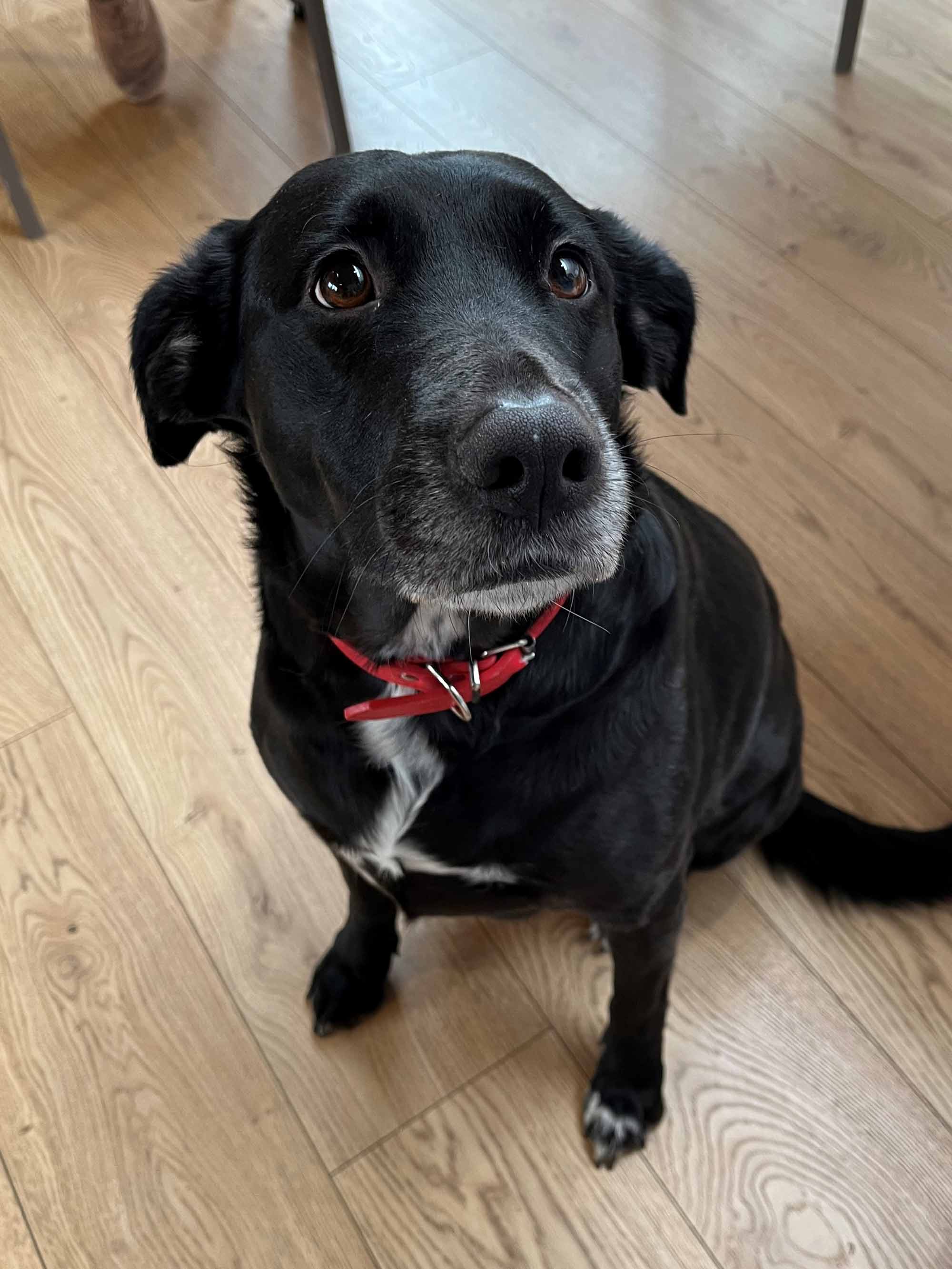 image 7 de EHPAD Résidence La Vieille Eglise