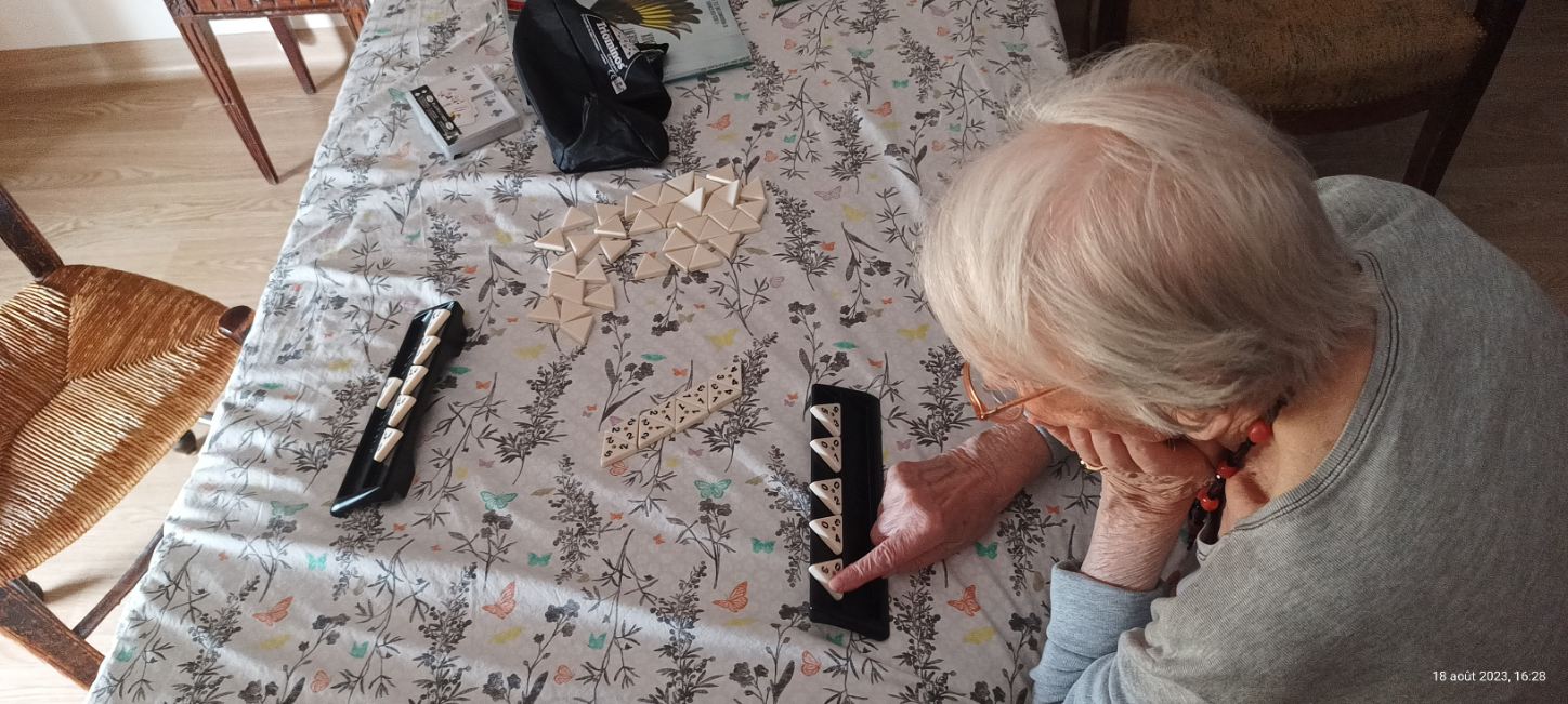 image 5 de Petits-fils La Verpillière