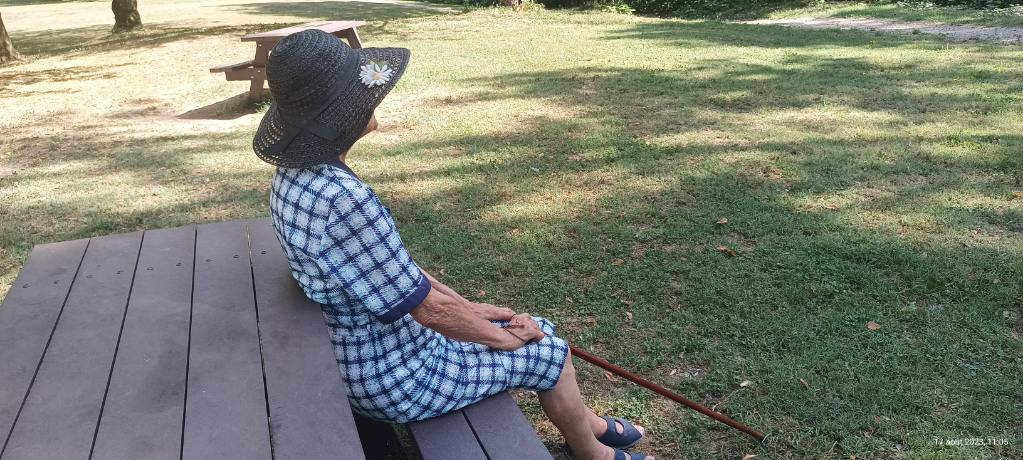 image 6 de Petits-fils La Verpillière