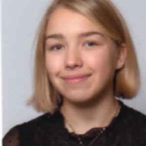 Bonjour, je propose plusieurs services tel que : ménage, repassage, cuisine, garde des enfants, promenade des chiens.