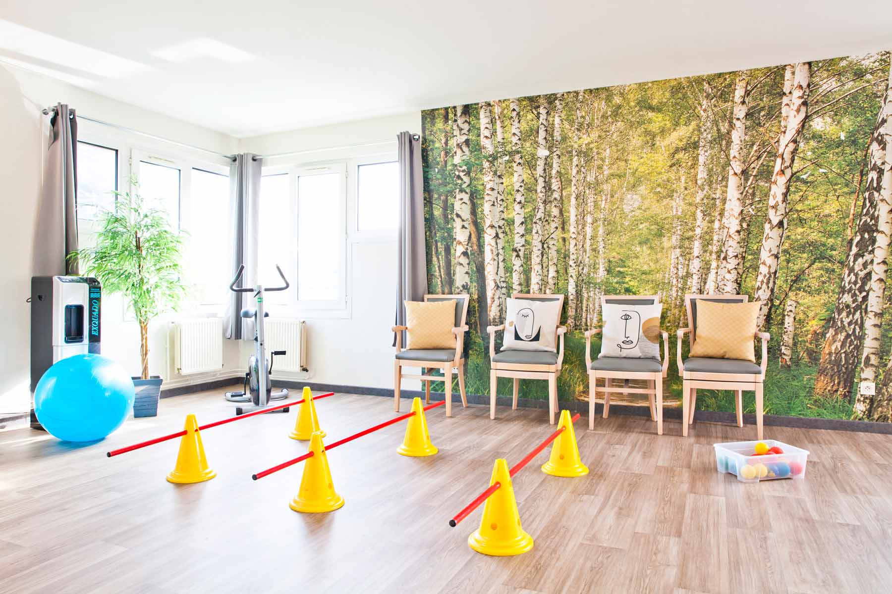 image 3 de EHPAD Résidence Les Myosotis