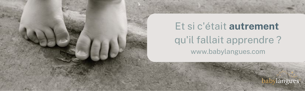 photo couverture Babylangues Services