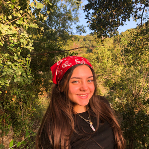 babysitting, grenoble