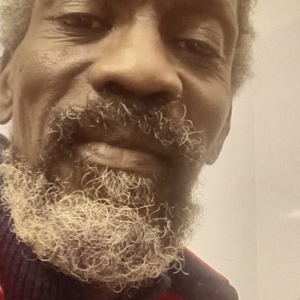 Jardinier paysagiste Montpellier