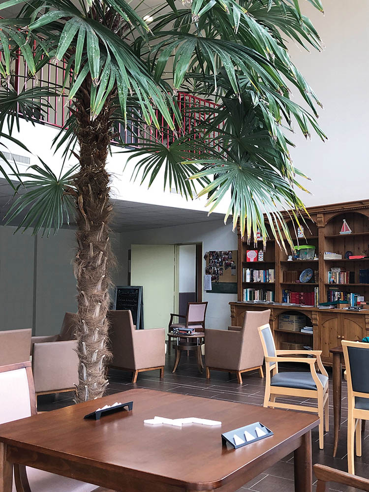 image 4 de Ehpad Résidence Le Clos des Cèdres