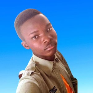 Experienced translator in several international languages