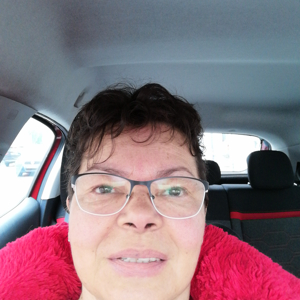 Nounou avec plus de 15 ans d'expérience, ATSEM pendant 22 ans, anglais niveau collège.