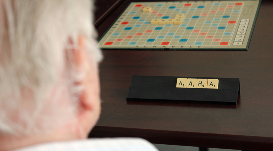 image 1 de Les Parentèles de la Ville du Bois