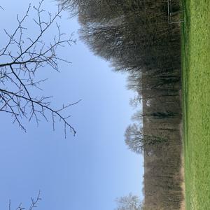 Baby sitting à Carrières-sous-Poissy