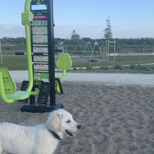 Baby-sitting à Crépy en Valois