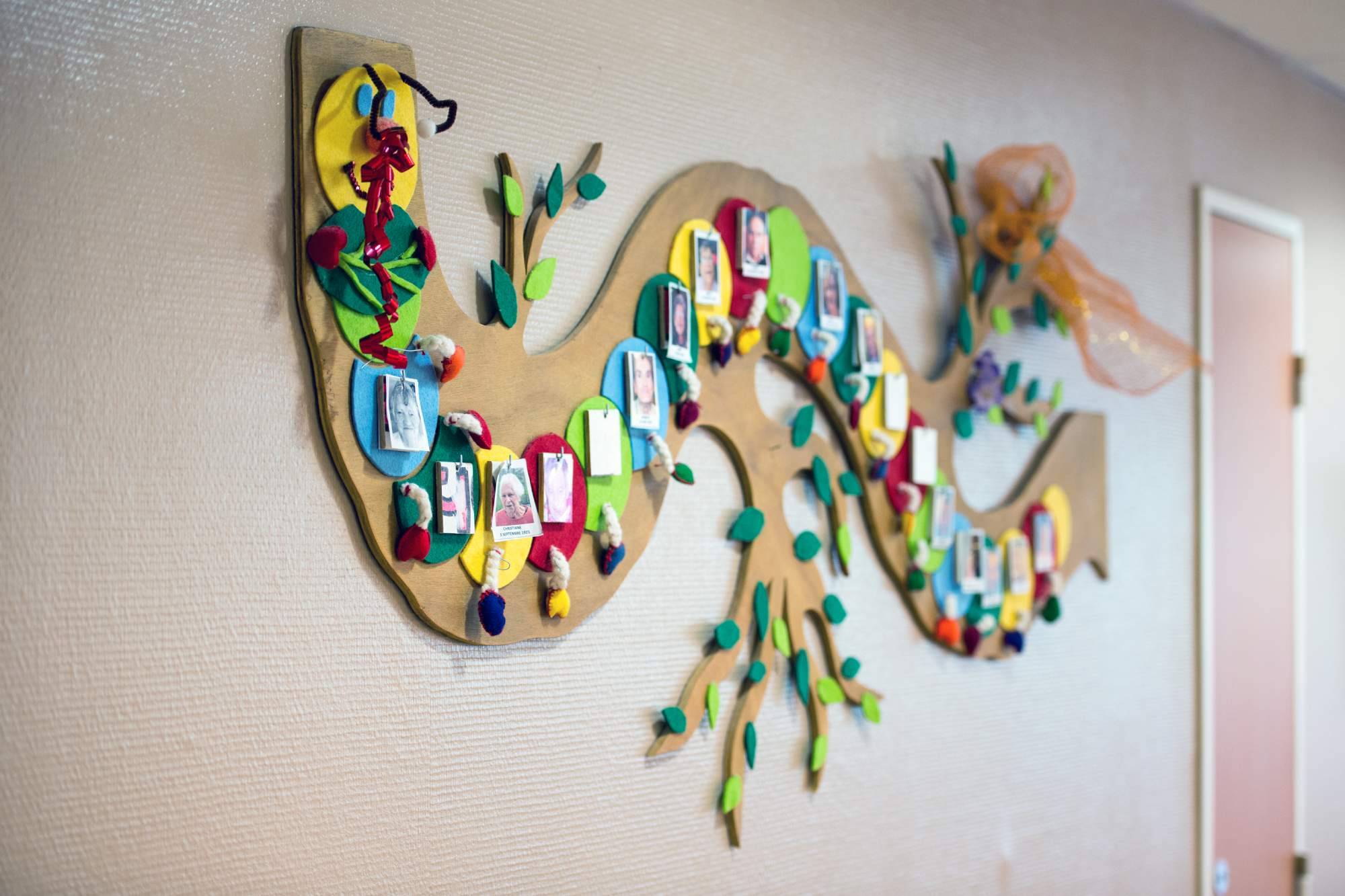 image 5 de EHPAD Résidence Albodi