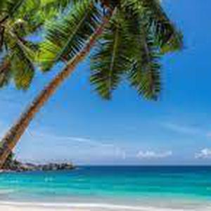 ménage aide au course ect...