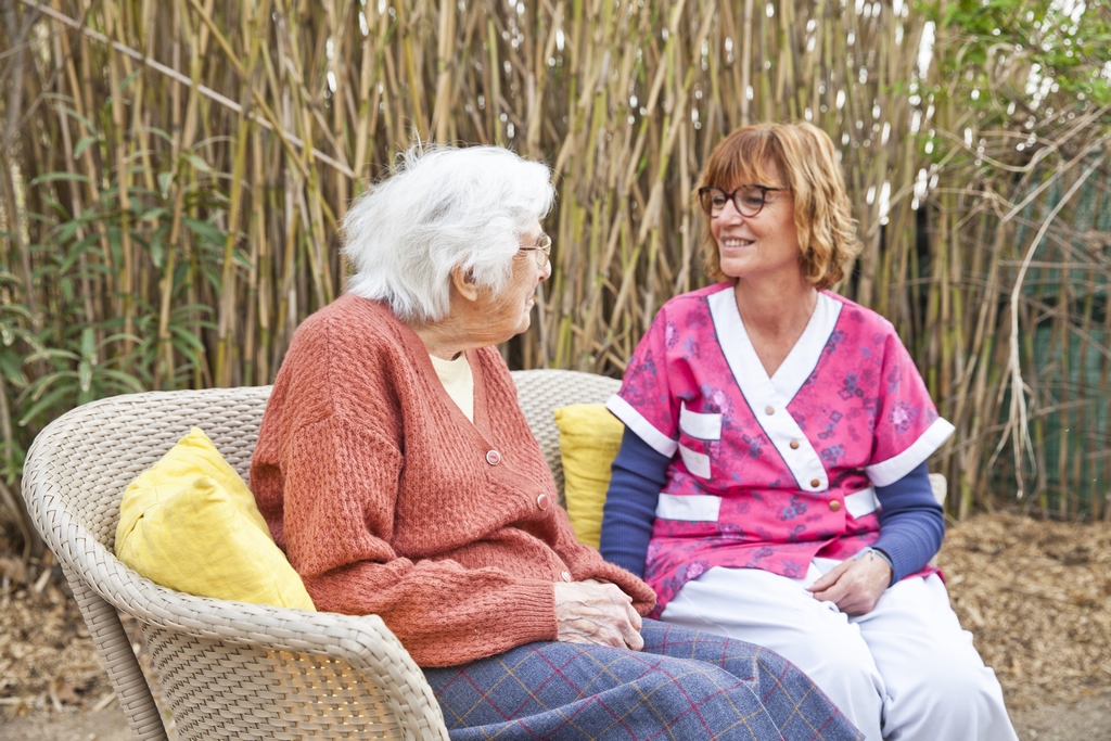 image 5 de LES AMANDIERS