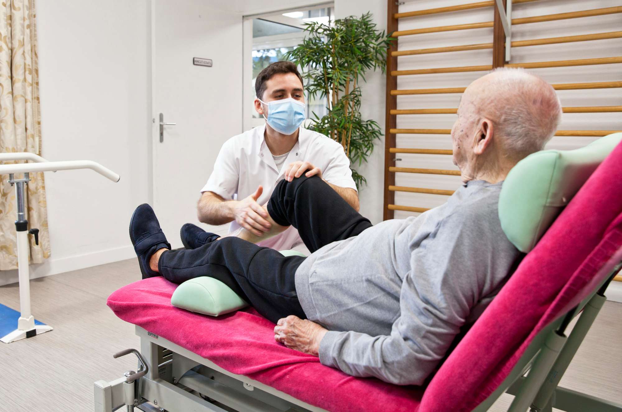 image 7 de LES AMANDIERS