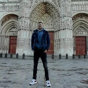 Promenades de chiens