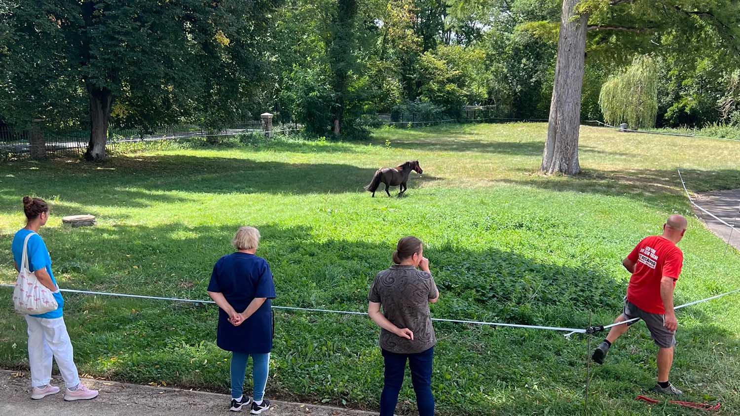 image 4 de EHPAD Résidence La Manderie