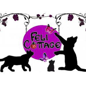 Photo de FELI COTTAGE