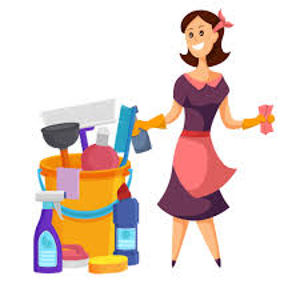 Femme de menage nantes et alentours