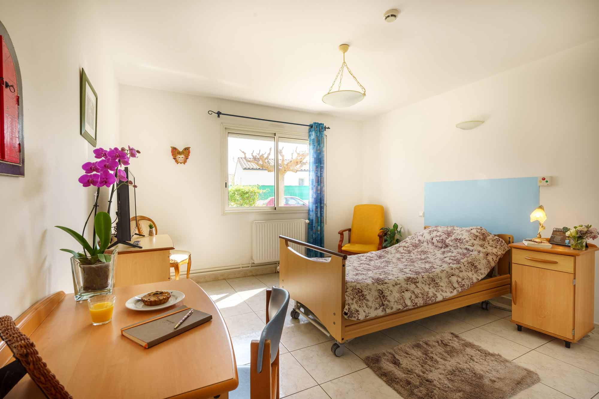 image 2 de Clos des Oliviers