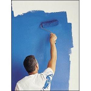 Igor, 32 ans cherche pose parquet, enduit, peinture