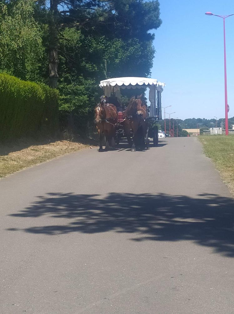 image 4 de EHPAD Résidence René Castel