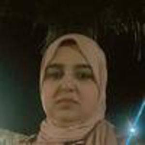 Ménage, repasaré à brest