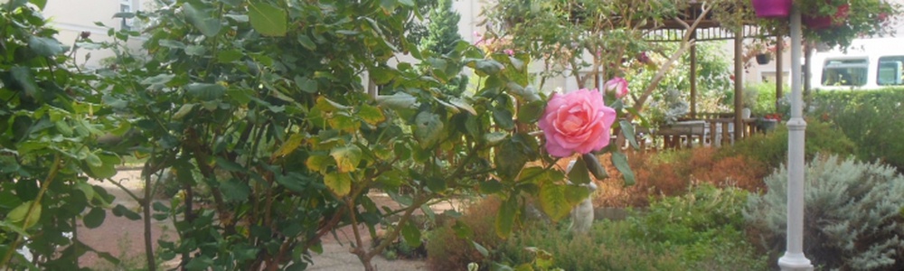 photo couverture EHPAD La Cerisaie ( Gagny)